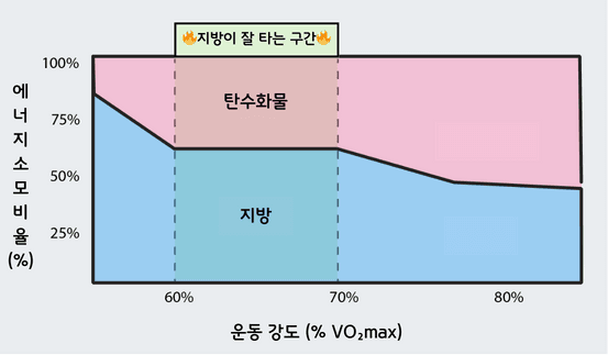 심박수 그래프